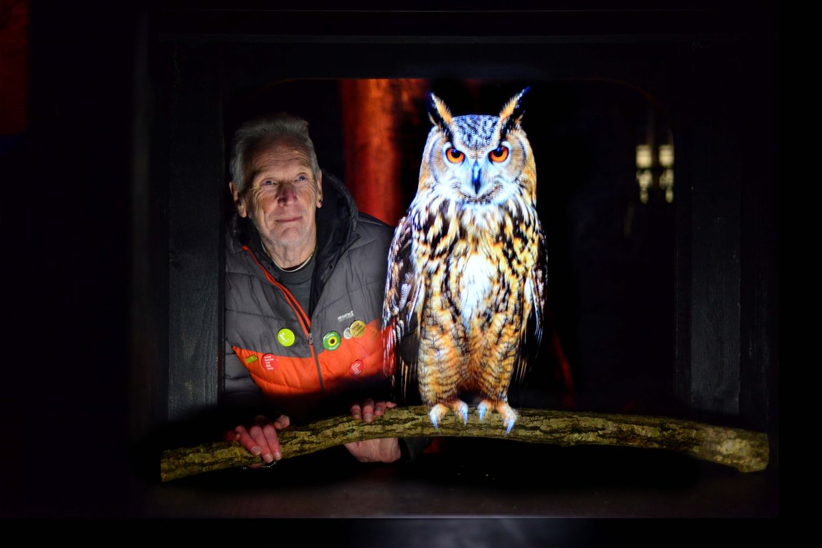 Illuminated owl installation